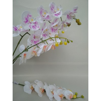 Орхидея латексная 